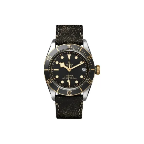 TUDOR Автоматический Механический Механизм Мужские Часы из Коллекции BLACK BAY Черные