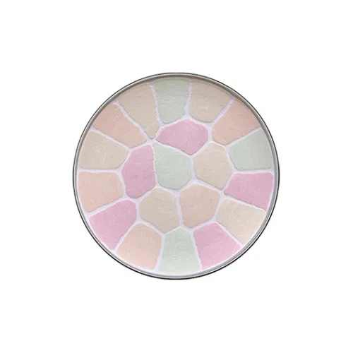 Elégance E Sized Replacement Ядерный Портативный Family Рекомендуемый размер Пудра Контроль жирности Цвет лица Выравнивание тона кожи 8,8г 27г