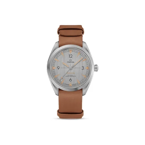 OMEGA Автоматический Механический Часы Мужские AQUA TERRA 150 метров, 40 мм, Серый