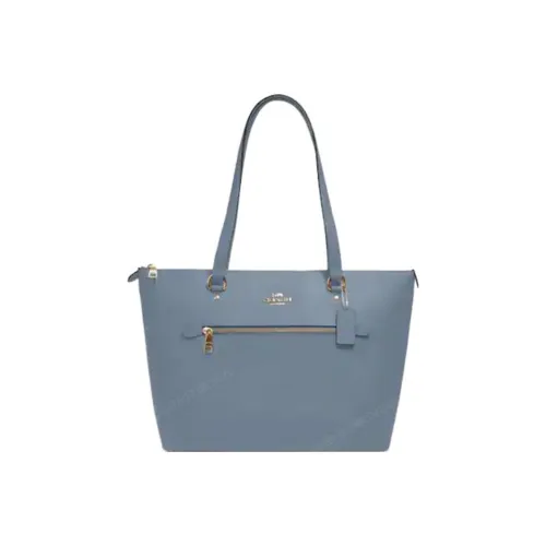 COACH Gallery Сумки через плечо Женские