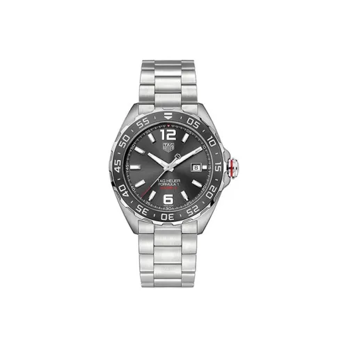 TAG HEUER Автоматический Механический Механизм Мужские Часы F1 Collection 43 мм Серый