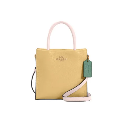 COACH Cally Кожа Гармошка-Боковая Сумка Тоут Сумка Сумка для покупок Сумка на одно плечо Сумка через плечо Мини Женская