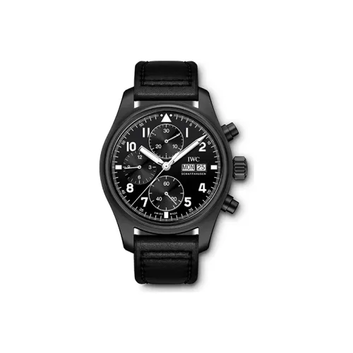 IWC Pilot Collection Автоматический Механический Часы Мужские 41 мм Черный Циферблат
