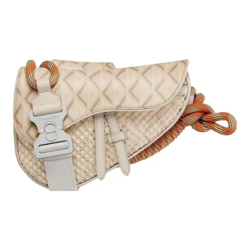 DIOR Холст Седло Сумка Сумка через плечо Бананка Сумка через плечо Мужская Естественная