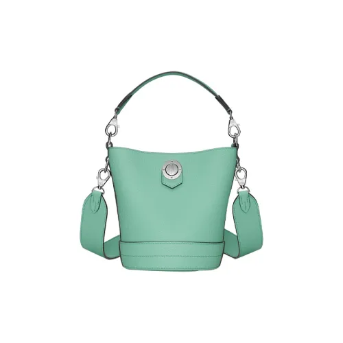 Moynat Satin Телячья кожа Сумка Женская Mint Green