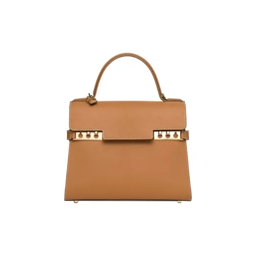 Delvaux Tempête Сумки Женские