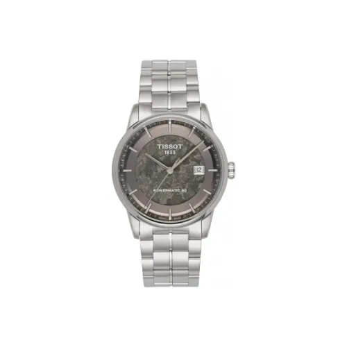 TISSOT Автоматический Механический Механизм Мужские Часы Часы 41 мм Серый Циферблат