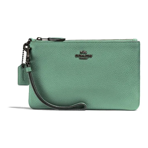 COACH Кожа Запястье Сумка Маленькая Сумочка Клатч Маленькая Женская Камео Коричневый Зеленый