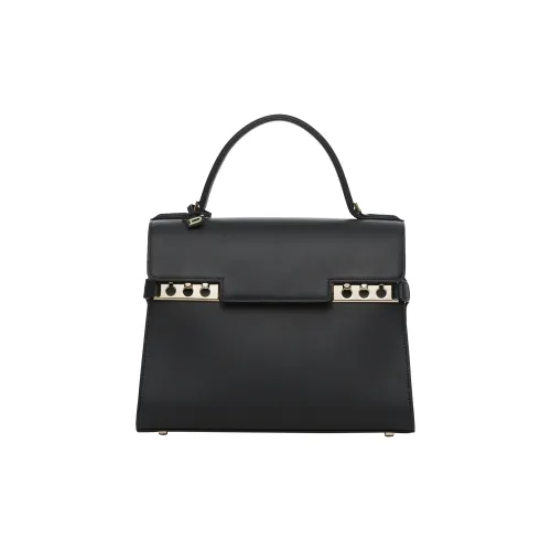 Delvaux Клатчи Женские