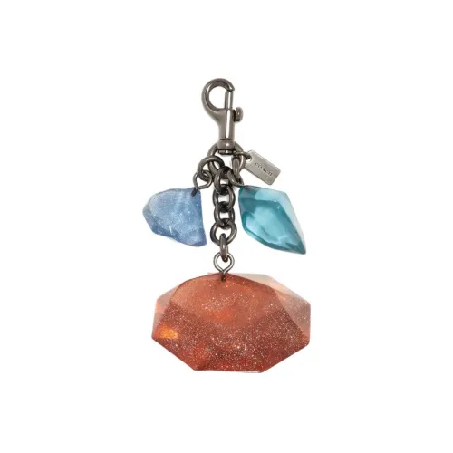 COACH Аксессуары для сумок Женские