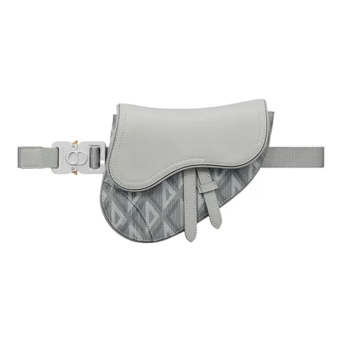 DIOR Холст с гладкой коровьей кожей седельная сумка бананка портативная сумка через плечо мини мужская серая