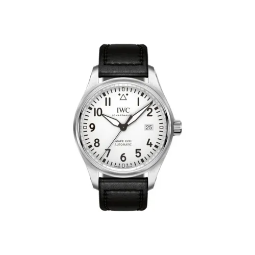 IWC Автоматический Механический Часы Мужской Pilot Collection 40 мм Белые
