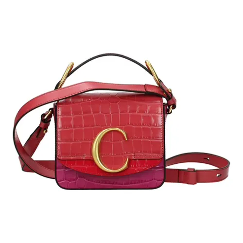 Chloe Кожа Клатч Женский Многоцветный