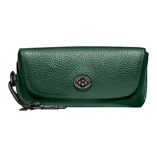 COACH Чехлы для очков Sunglass Case Яшмовый Унисекс