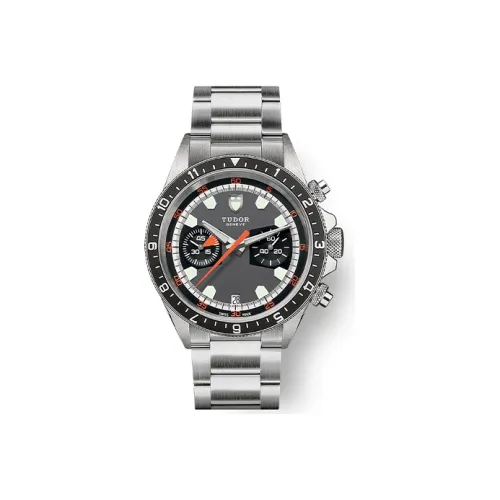 TUDOR Автоматический Механический Часы Мужские Enlightenment Collection 42 мм Серый