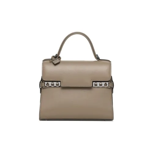 Delvau Tempête Мягкая Телячья Кожа Сумка Сумка через плечо Сумка через плечо Маленькая Женская Слоновая Серый