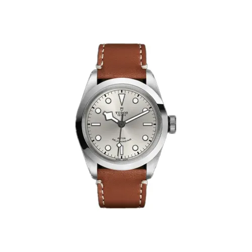 TUDOR Автоматический Механический Механизм Мужские Часы из Коллекции BLACK BAY Серебряные