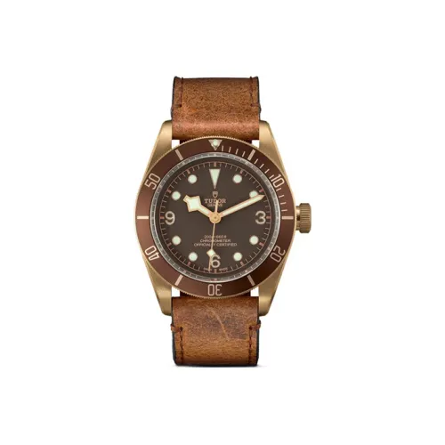 TUDOR Механический механизм Мужские часы из коллекции BLACK BAY, 43 мм, Кофейный