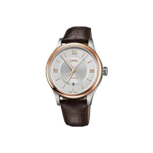 Oris Автоматический Механический Механизм Мужские Часы 42 мм Серебряный