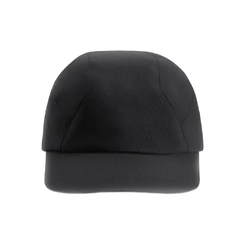 Arcteryx Veilance Collection Gore TEX Pro Ткань Кепки Мужской