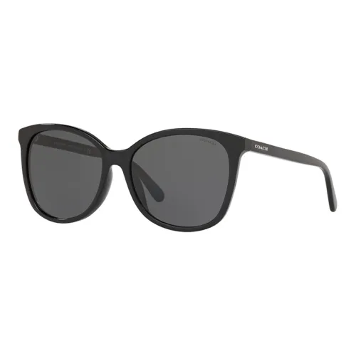 COACH OVAL SUNGLASSES Унисекс Черный