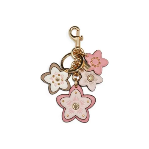 COACH Кожа Брелоки Розовый Женские