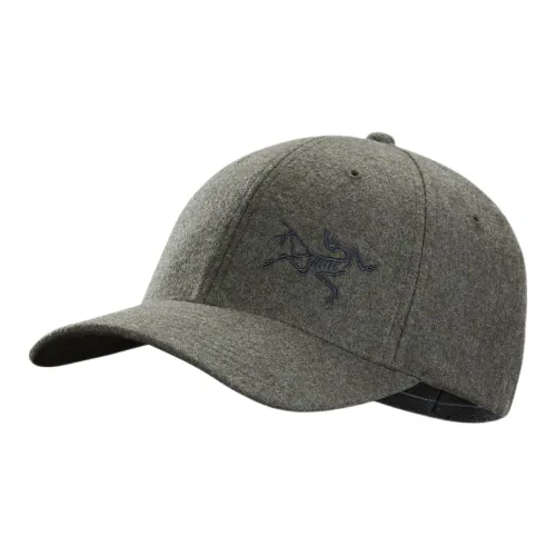 Arcteryx Бейсболки Яшмовый Унисекс