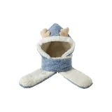CAP1701-ls