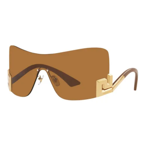 VERSACE Пластина And Металл Нерегулярная форма Солнцезащитные очки Унисекс