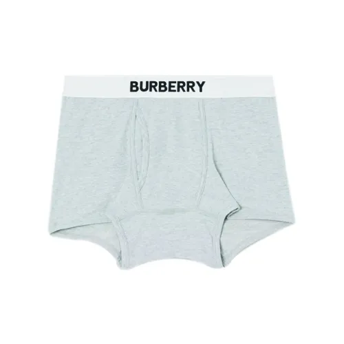Burberry Трусы Мужские 1 Пачка Серые