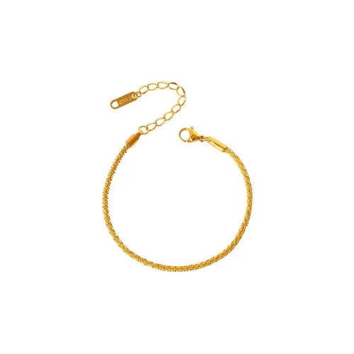 West Island Титановая сталь Браслеты на щиколотку Золотой Женские