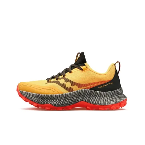 Saucony Endorphin Trail Беговые кроссовки Низкий Топ Мужской