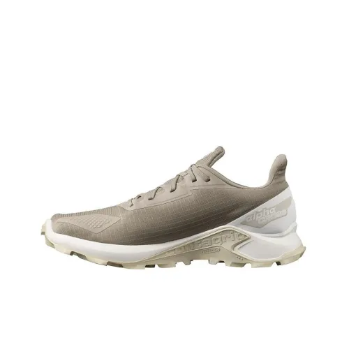 SALOMON Крест Alphacross Blast Gore TEX Противоскользящий Устойчивый к истиранию Низкий Топ Уличная обувь Коричневый