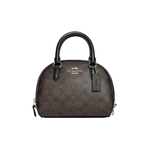 COACH Sydney Покрытый холст с кожаными вставками купольная сумка сумка через плечо маленькая сумка через плечо женская черная коричневая