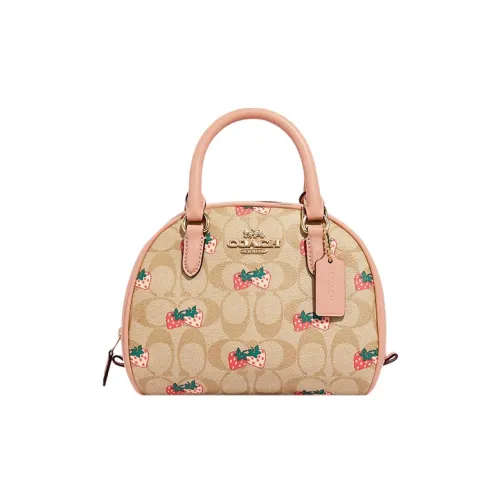 Coach Sydney Холст с покрытием и гладкая кожа Полу-Круглая Сумка Сумка через плечо Сумка через плечо Маленькая Женская