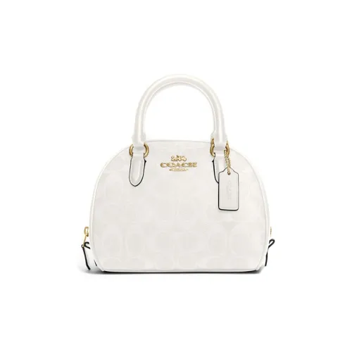 COACH Sydney Холст с покрытием и гладкая кожа Сумка-купол Сумка Сумка через плечо Сумка через плечо Маленькая Женская Мел Белый