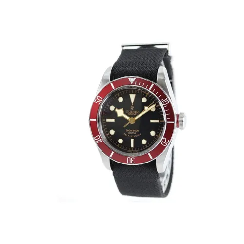 TUDOR BLACK BAY Collection Автоматический Механический Механизм Мужские Часы Часы 41 мм Черный Циферблат Корпус из Нержавеющей Стали