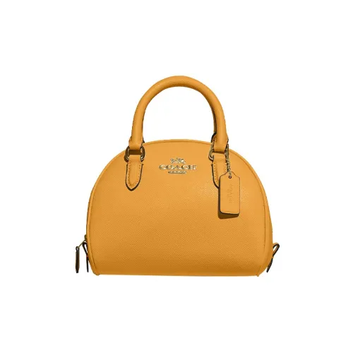 COACH Sydney Крестообразная текстура кожа купольная сумка сумка сумка через плечо сумка через плечо среднего размера женская горчично-желтая