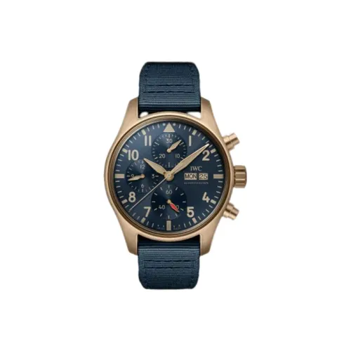 IWC Автоматический Механический Часы Мужской Pilot Collection 41 мм Синий