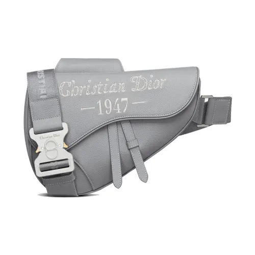 DIOR Седло Grained Телячья кожа Седло Сумка Сумка через плечо Sling Сумка Мужская Серый