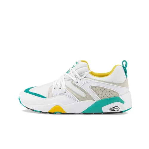 PUMA Blaze Of Glory Ретро Низкий Топ Casual Унисекс Белый Синий