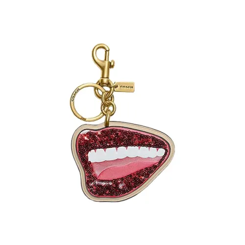 COACH Коровья кожа Сумка Аксессуар Маленький Женский Многоцветный