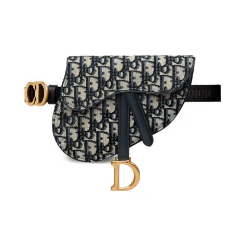 DIOR Седло Холст Седло Сумка Сумка через плечо Бананка Обычная Женская Морской Синий