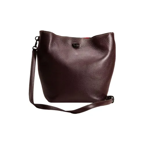 COACH Кожа Ведрообразная Сумка через плечо Большая Женская Бычий Кровь