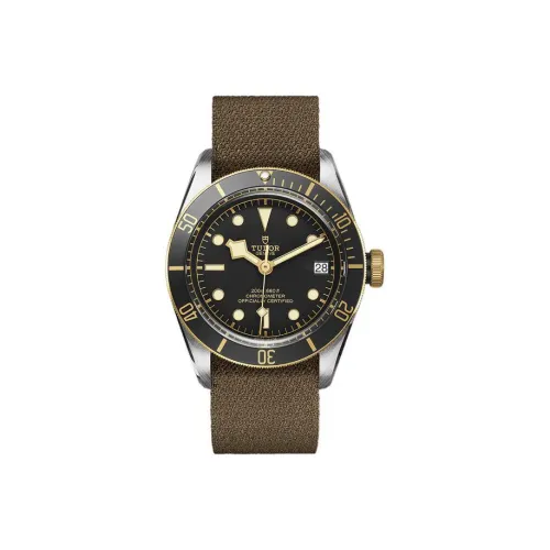 TUDOR BLACK BAY Collection Автоматический Механический Механизм Мужские Часы Часы 41 мм Черный Циферблат