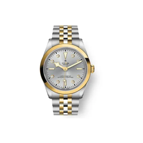 TUDOR BLACK BAY Collection Автоматический Механический Механизм Унисекс Часы 36 мм Серебристый Циферблат