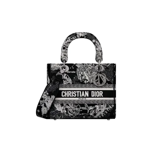 DIOR LADY D Лайт Вышивка Сумка Lady Dior Сумка через плечо Сумка среднего размера Женская Черная
