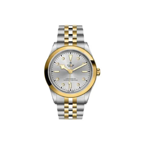 TUDOR Автоматический Механический Механизм Мужские Часы из Коллекции BLACK BAY 41 мм Серый