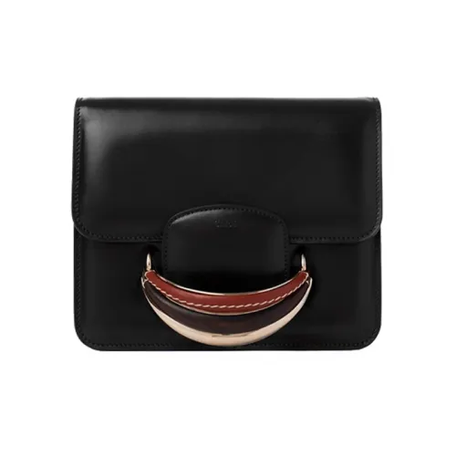 Chloe Kattie Яркий Телячья кожа Сумка через плечо Сумка Мини Женская Черная