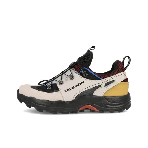 Кроссовки для бега Salomon Collaboration Raid Wind Low Top Unisex